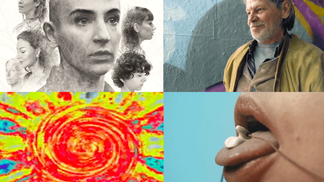 MFZ_KısaFilmler_11122005_1