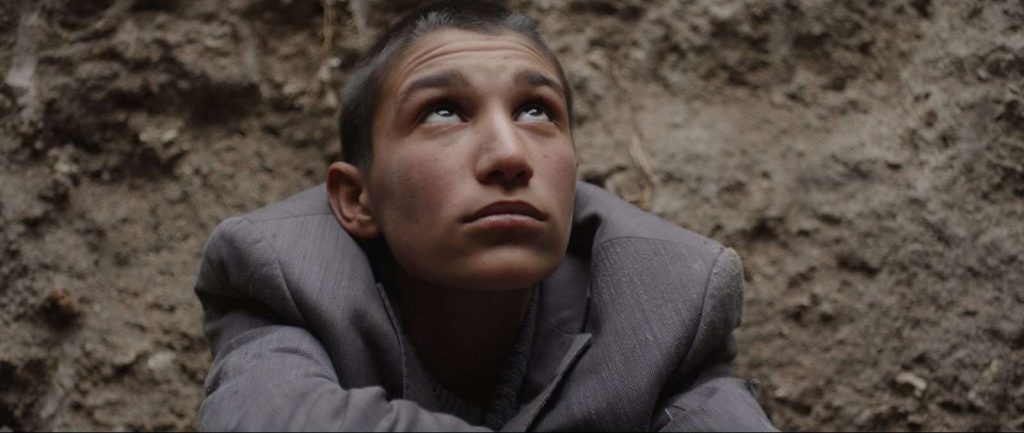 Seyfettin Tokmak imzalı "Tavşan İmparatoğrluğu“ filminin görseli